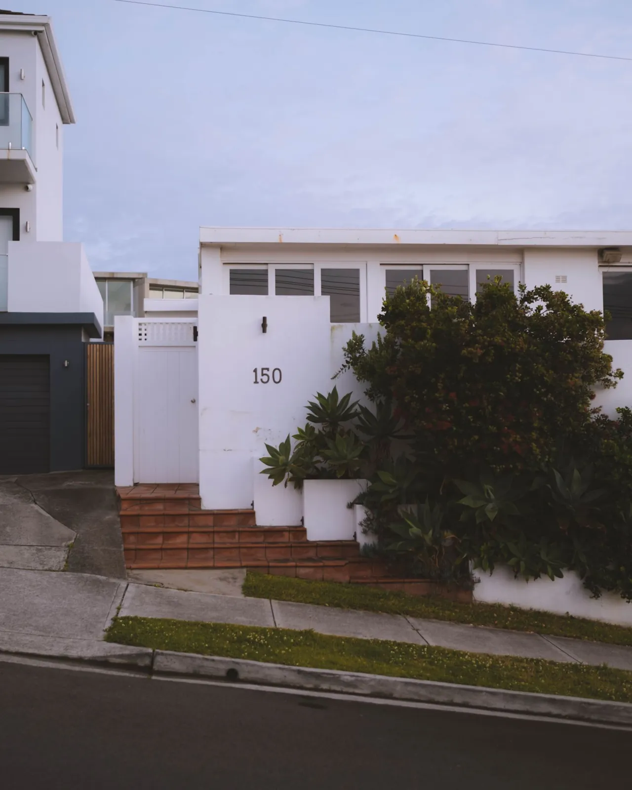 A modern house with garden planting in Sydney