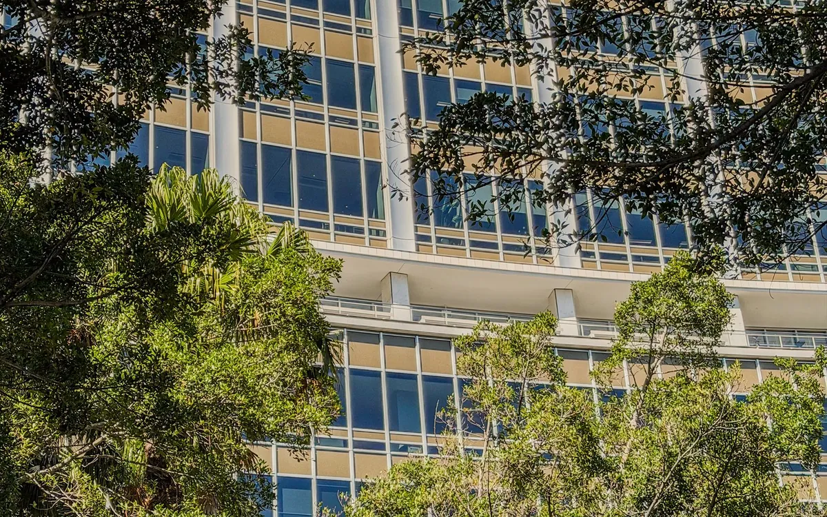 A Sydney office building framed by trees