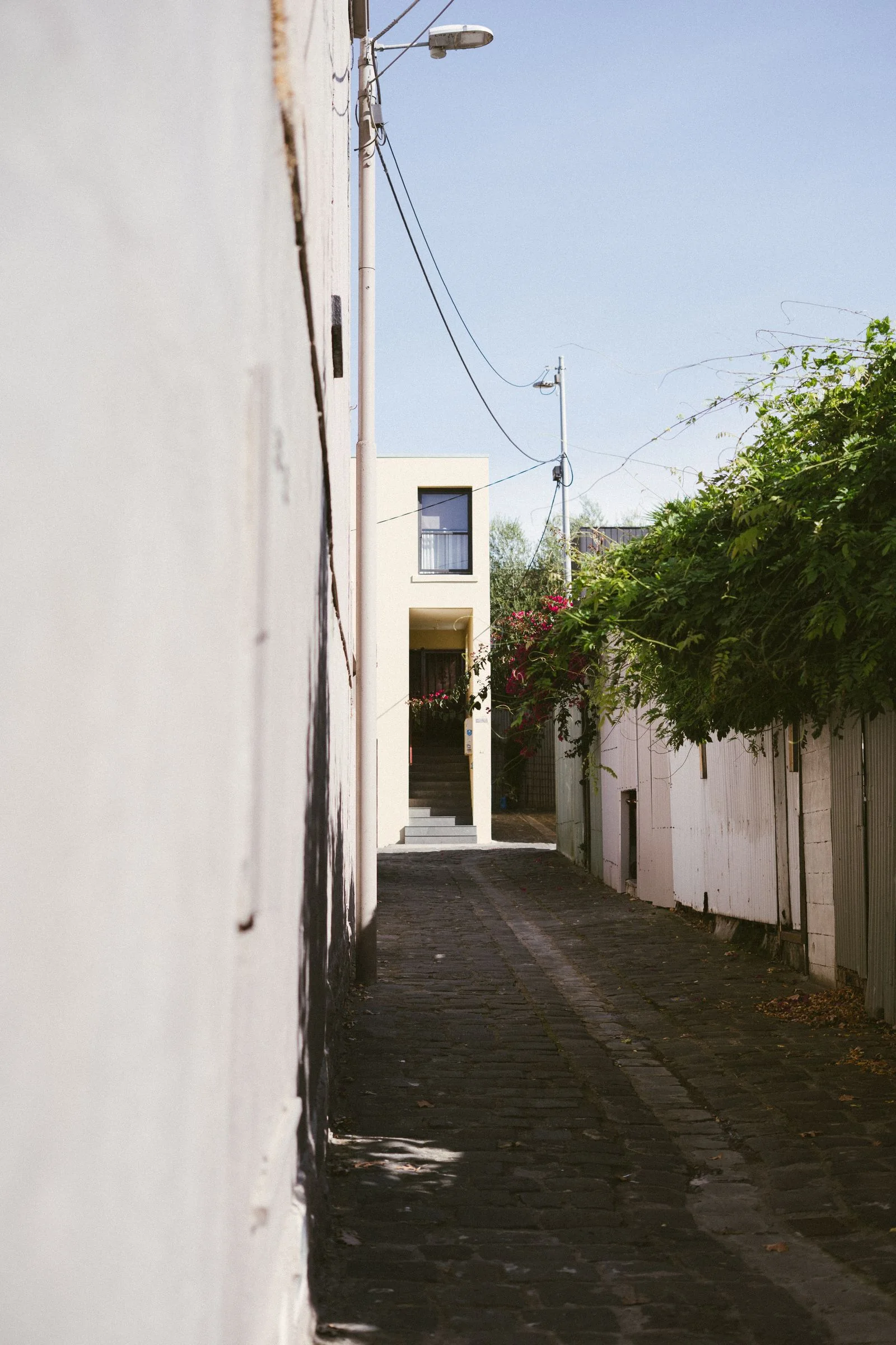 A Melbourne alley beside a house and garden