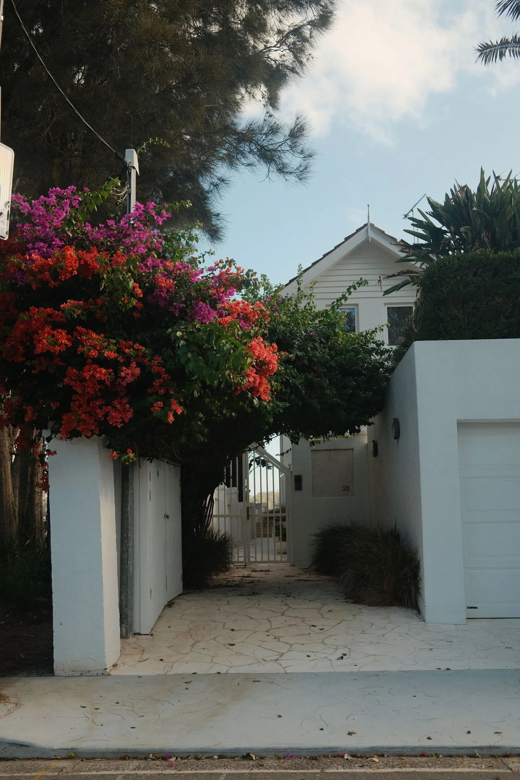 A Sydney house entrance framed by bougainvillea and trees